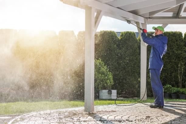 Best House Exterior Washing  in La Palma, CA