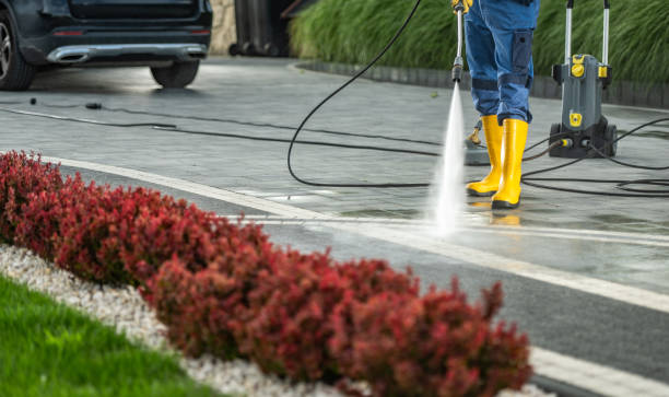 Best Factory Floor Cleaning  in La Palma, CA